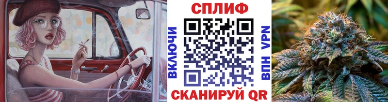 Купить  Луга  Шишки марихуана White Widow 